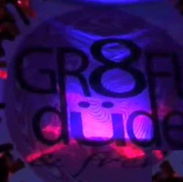 Gr8FLdude & Frenz(Grateful Dead Cover Band )